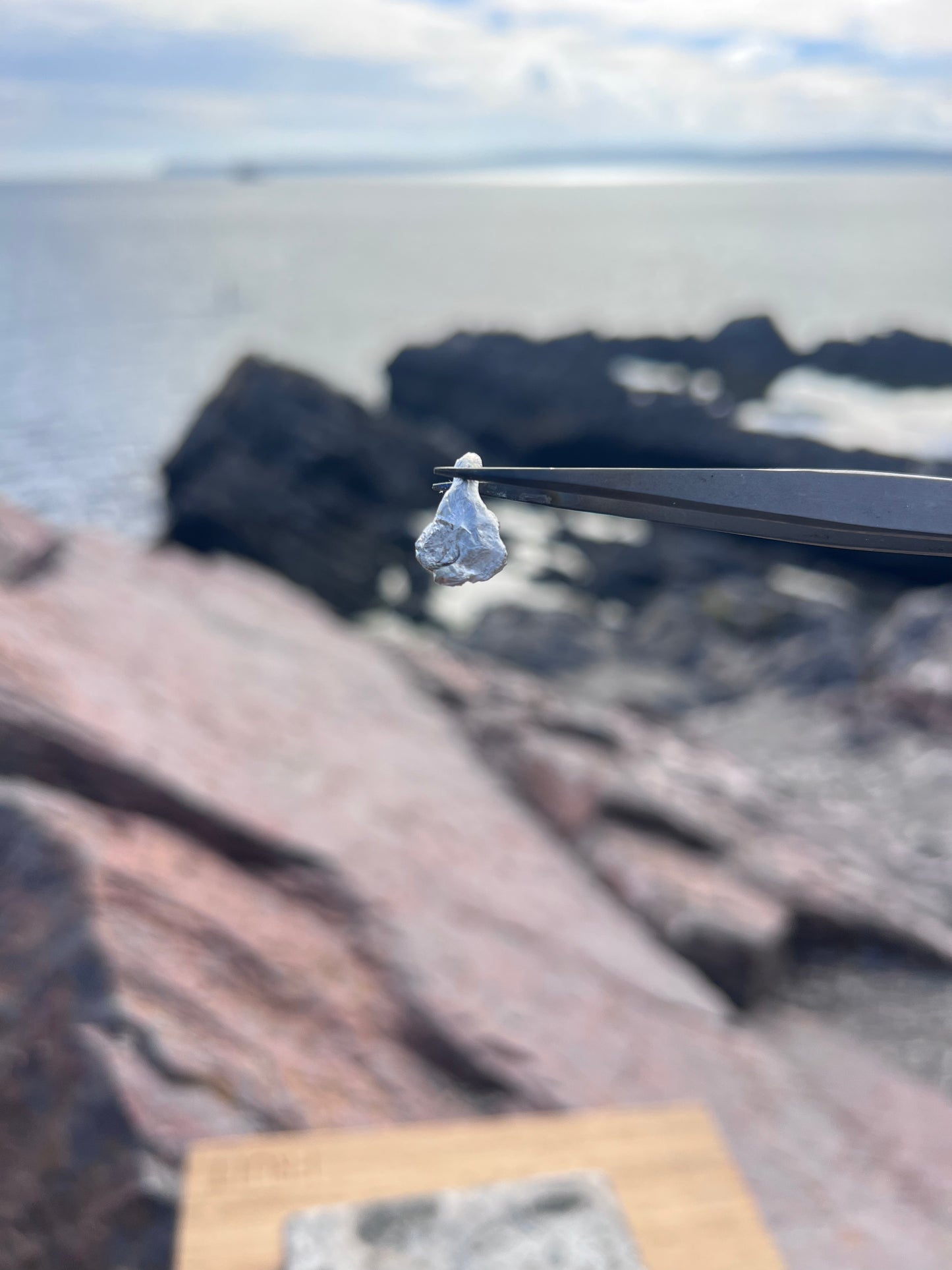 Silver Cast Pendant - Torquay