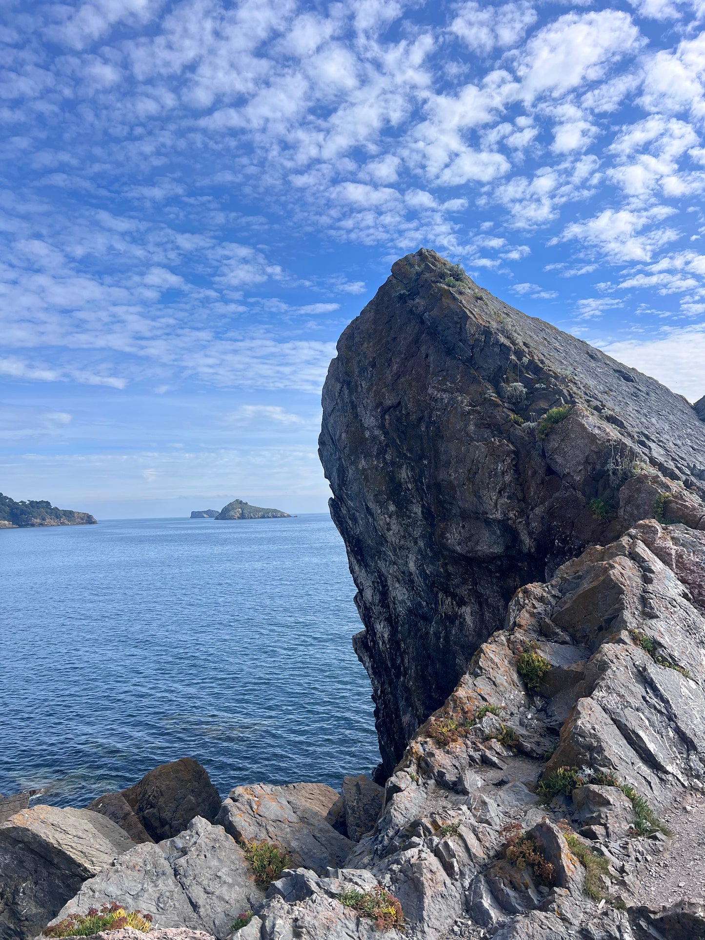 5.1ct Black Opal and White Diamond Pendant. 14k Yellow Gold. Cliffs of Torquay.